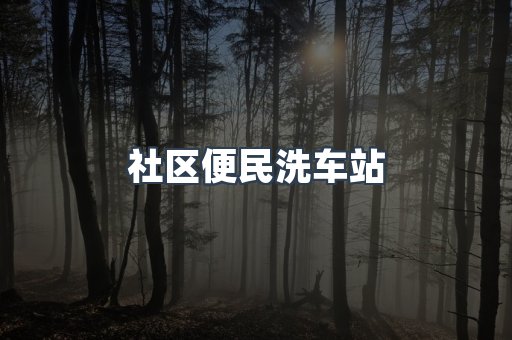 社区便民洗车站
